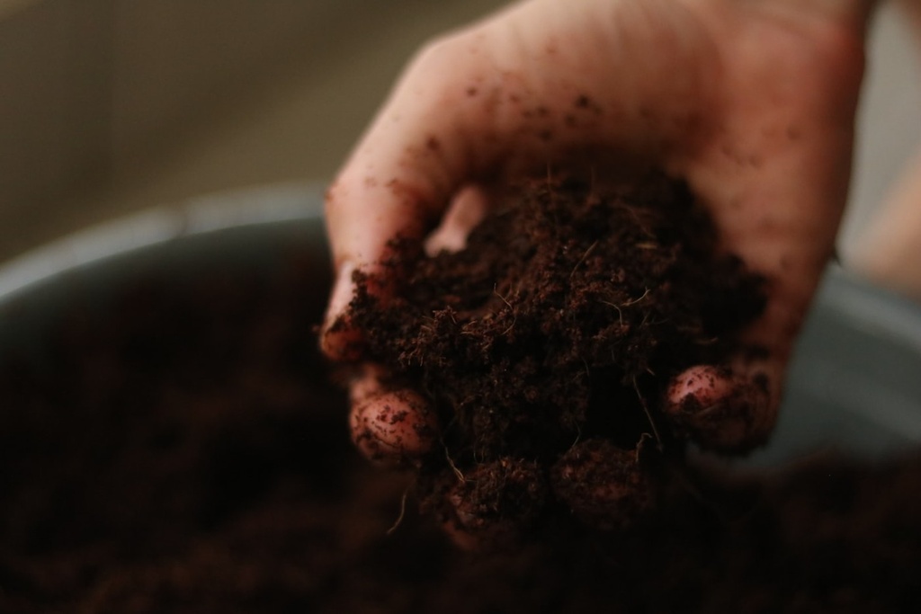 [PRO.27] Soil and agrological capability study