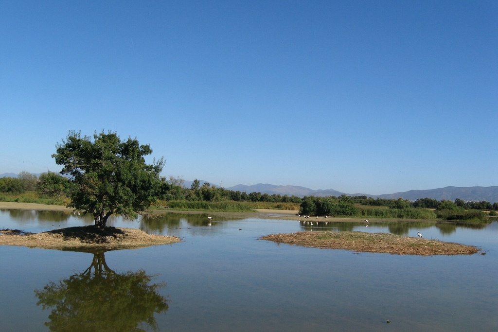 [PRO.34] Estudi d'afectació a la Xarxa Natura 2000