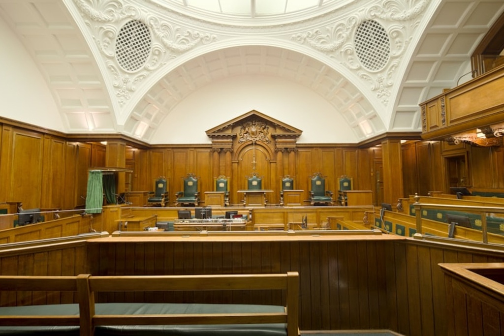 [PRO.22] Expert reports and expert witness work (litigation, arbitration, industrial)
