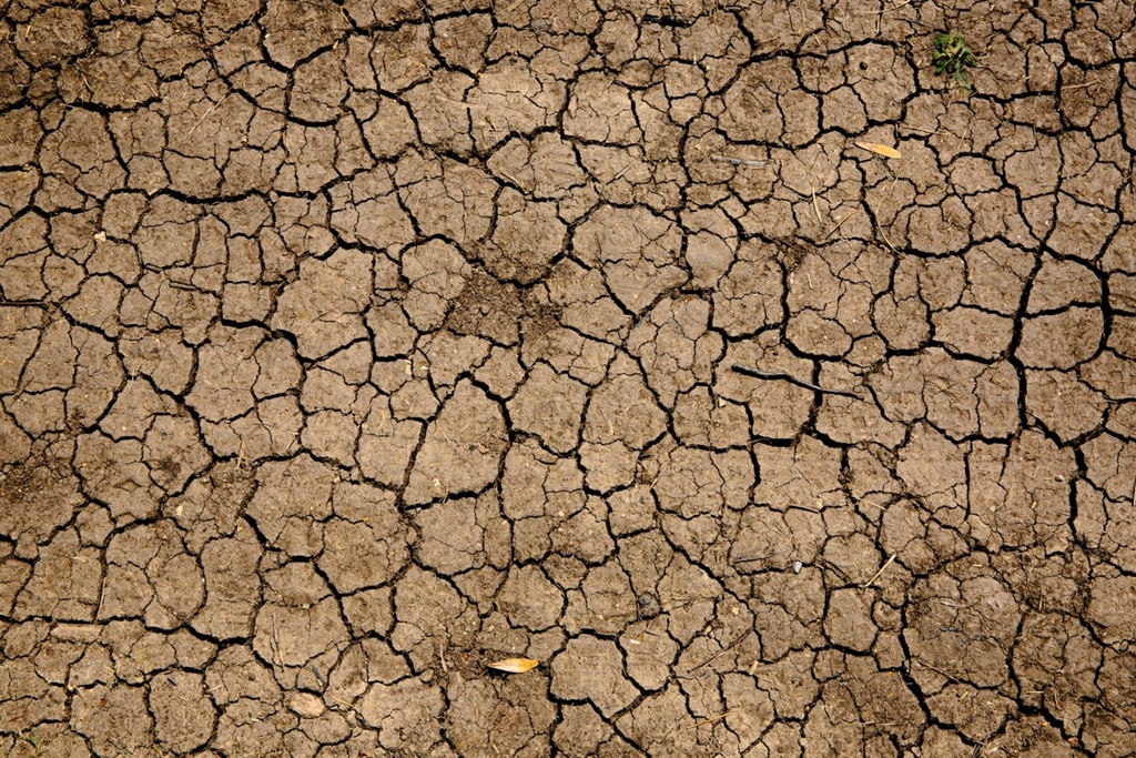 [DIA.08] Anàlisi de risc climàtic físic i vulnerabilitat (escenaris IPCC)